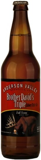 Anderson Valley Brother Davids Triple Abbey Style Ale