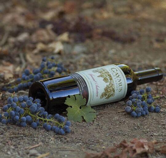 Caymus Vineyards Special Selection Cabernet Sauvignon