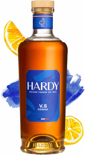 Hardy Vs Cognac