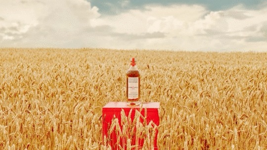 Makers Mark Star Hill Farm Wheat Whiskey